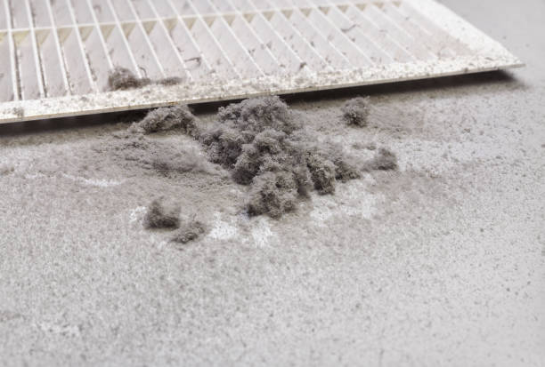 Best HVAC System Cleaning  in Kissimmee, FL