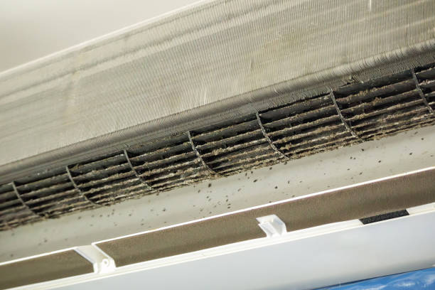 Air Duct Mold Removal in Kissimmee, FL